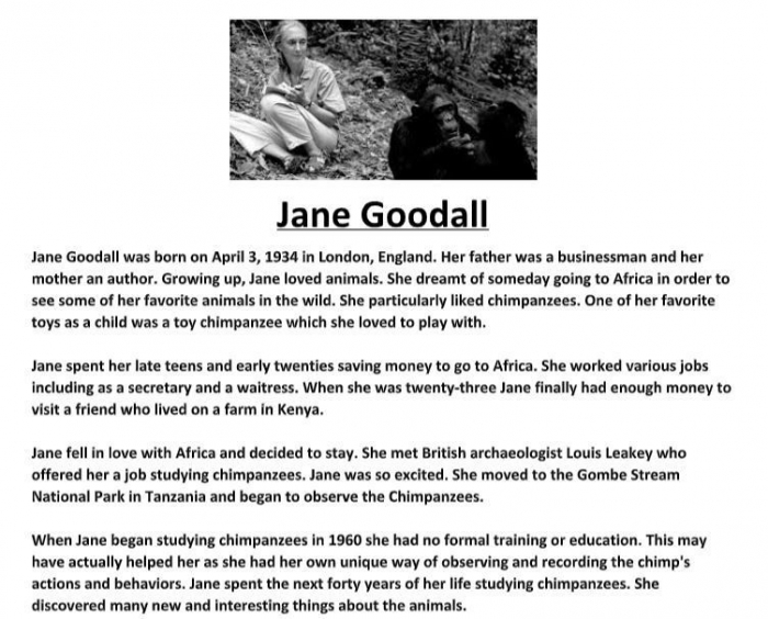 All About Jane Goodall Reader Worksheets | 99Worksheets