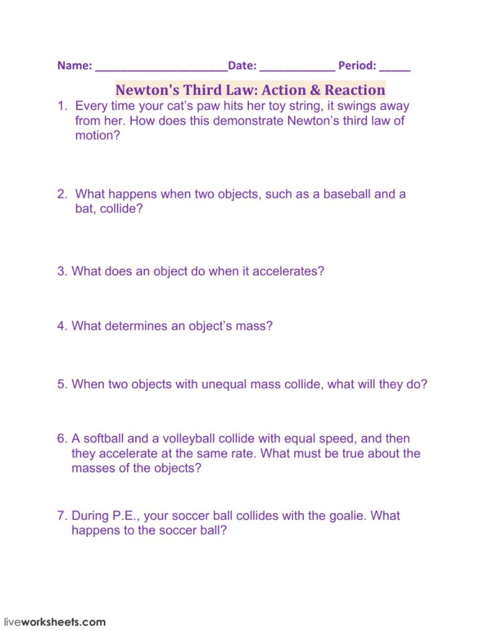Newtons Third Law Action