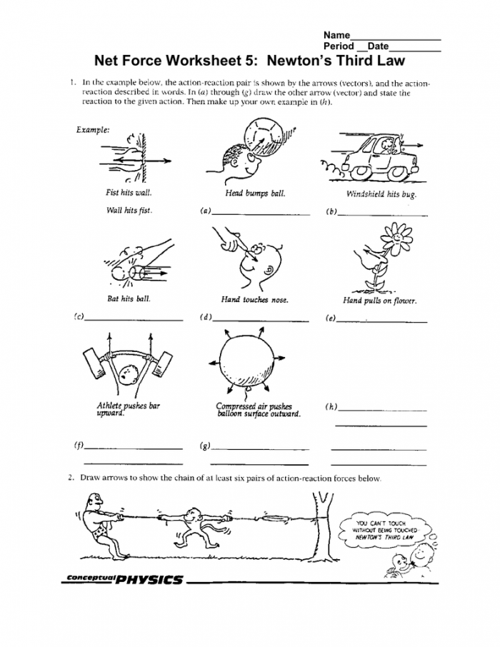 Newton S Third Law Worksheet Answers Pdf