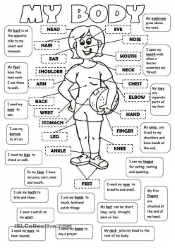 Learn Body Parts