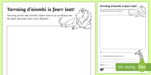 The Zoo Aistear Draw Your Favourite Animal Worksheet  Worksheet