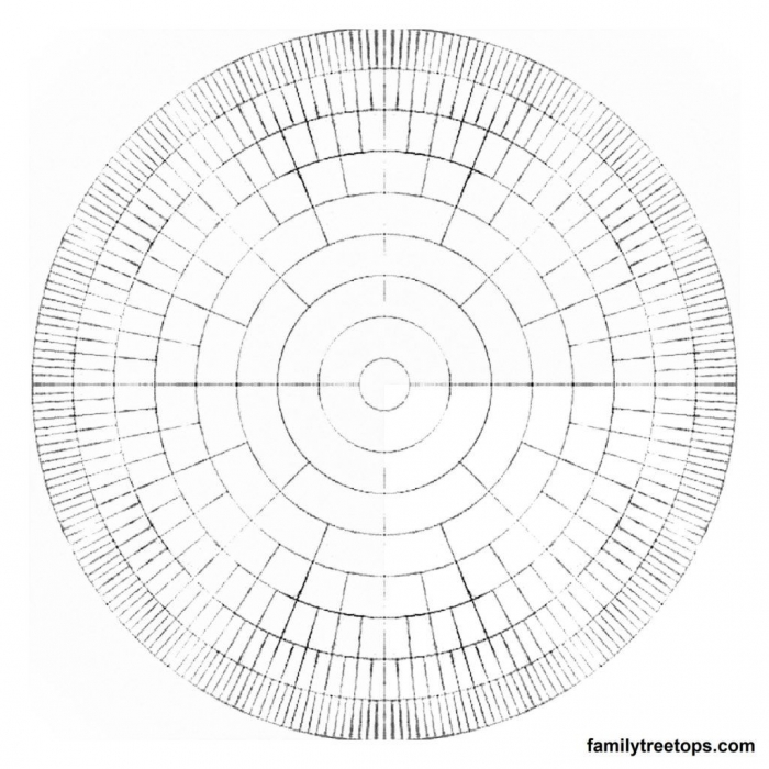 Worksheet Download In