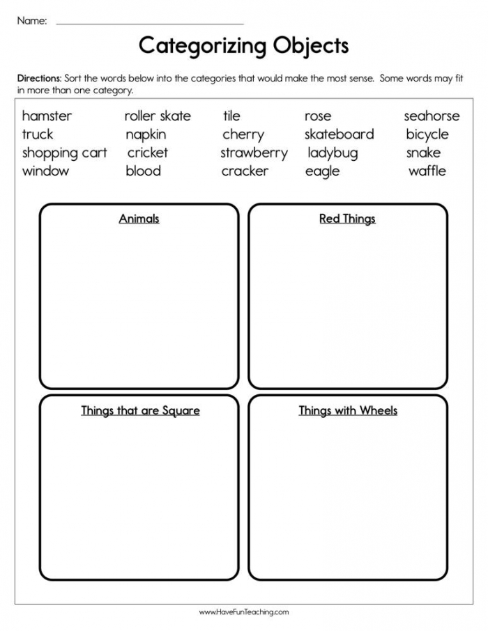 Categorizing Objects Worksheet  Have Fun Teaching