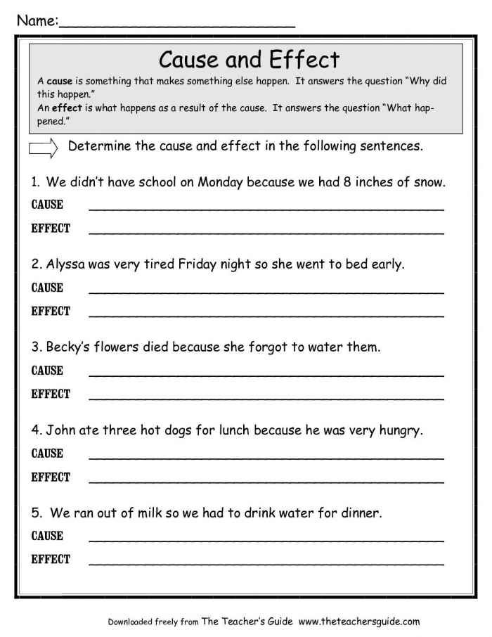 cause and effect essay worksheet