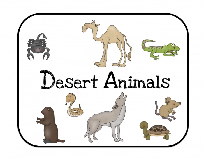 Desert Animals Activity Placemat Worksheets 99Worksheets