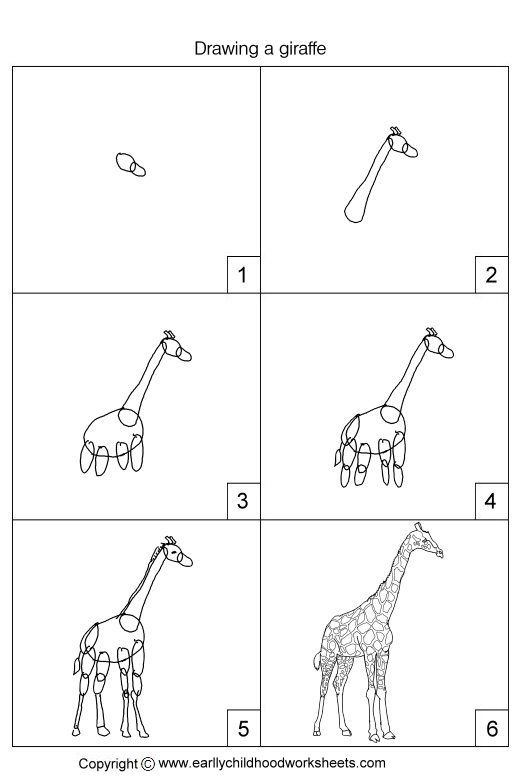 Drawing A Giraffe