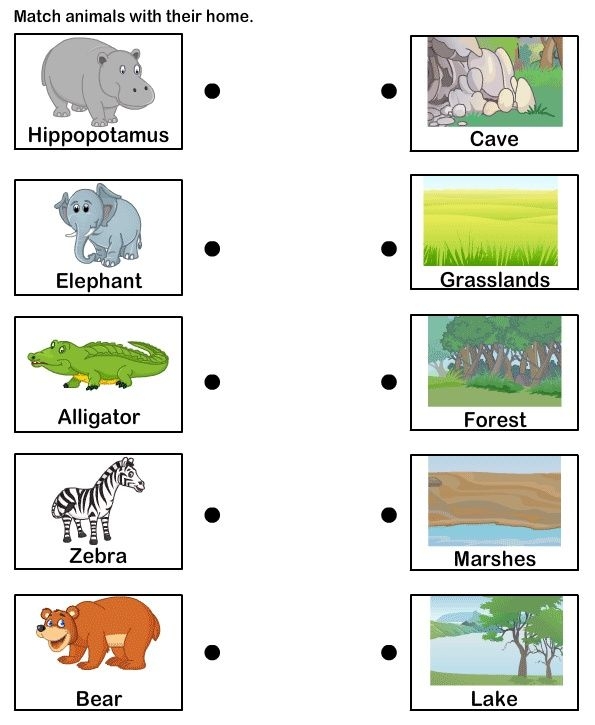 Animal Habitats Match Up Worksheets 99Worksheets