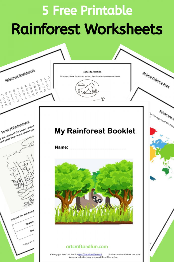 Preschool Free Printable Rainforest Worksheets