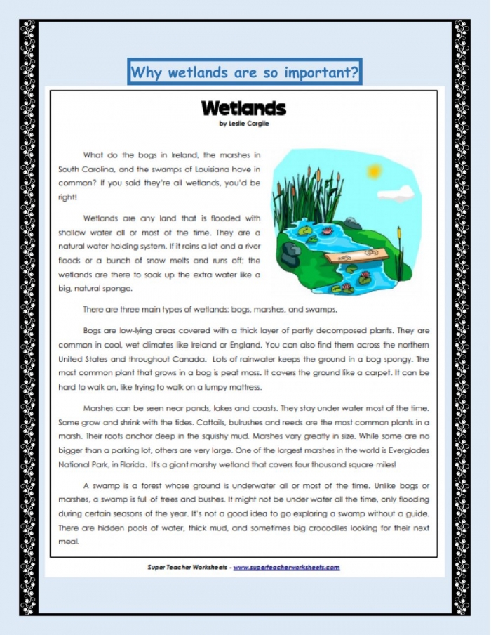 Importance Of Wetlands