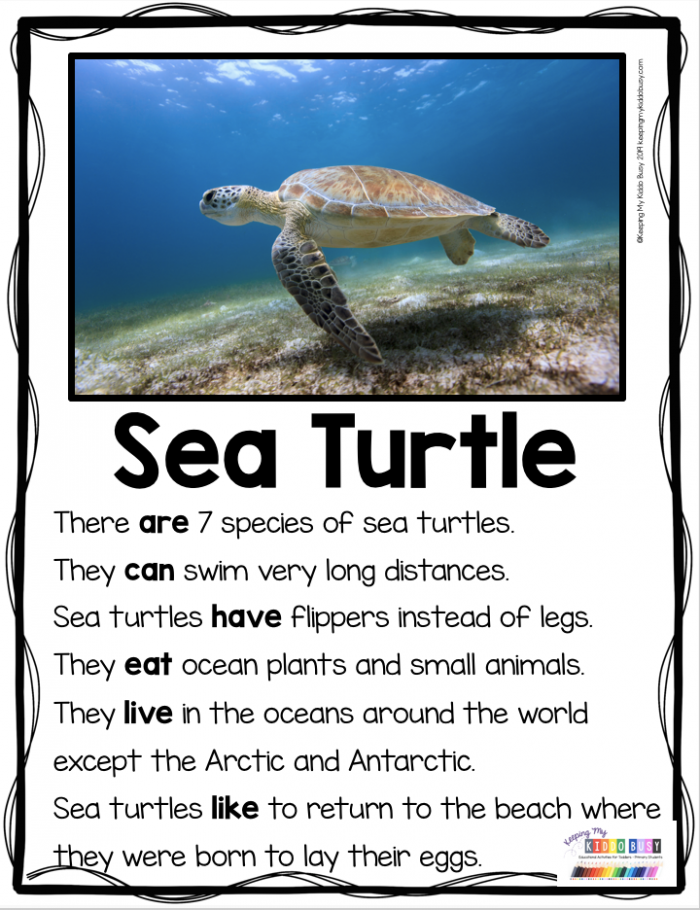 Missing The Main Topic Sea Turtles Worksheets 99Worksheets