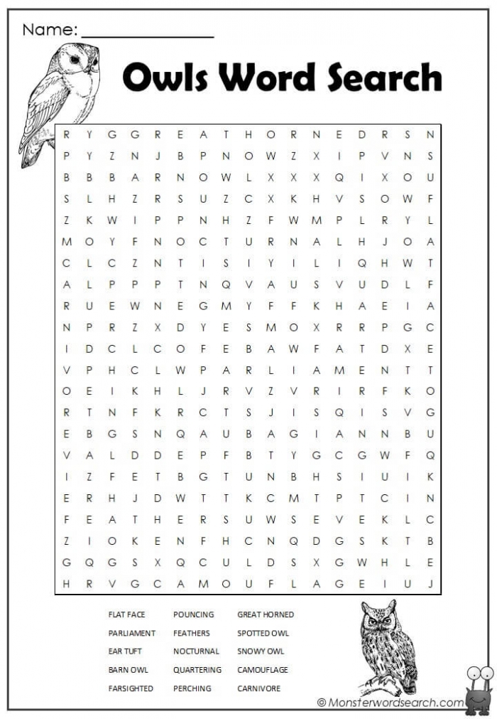 Owls Word Search