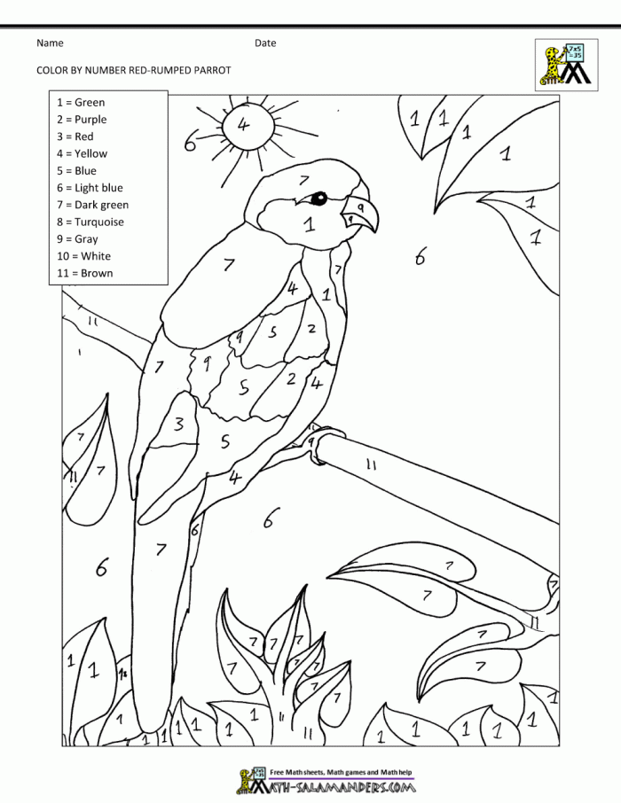 Parrot Math Coloring Page Coloring Page  Coloring Page Free
