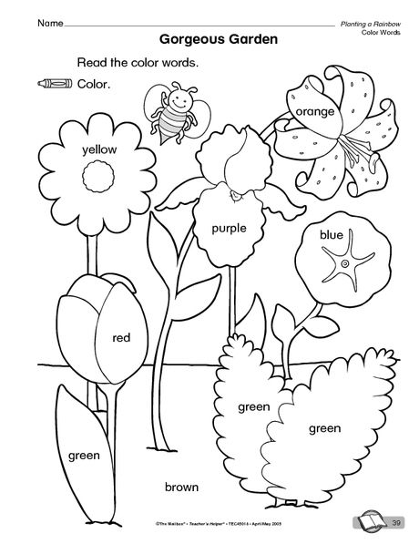 Colorful Garden Of Words Worksheets   99Worksheets