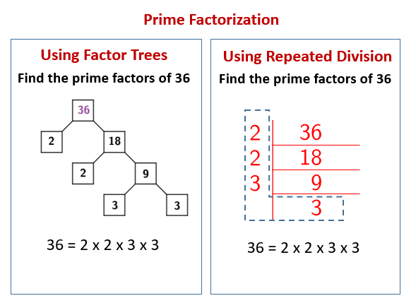Prime Factorization Using Repeated Division Solutions  Examples