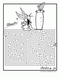 Spring Maze