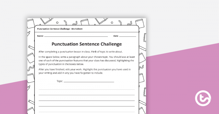Punctuation Sentence Challenge Worksheet Teaching Resource