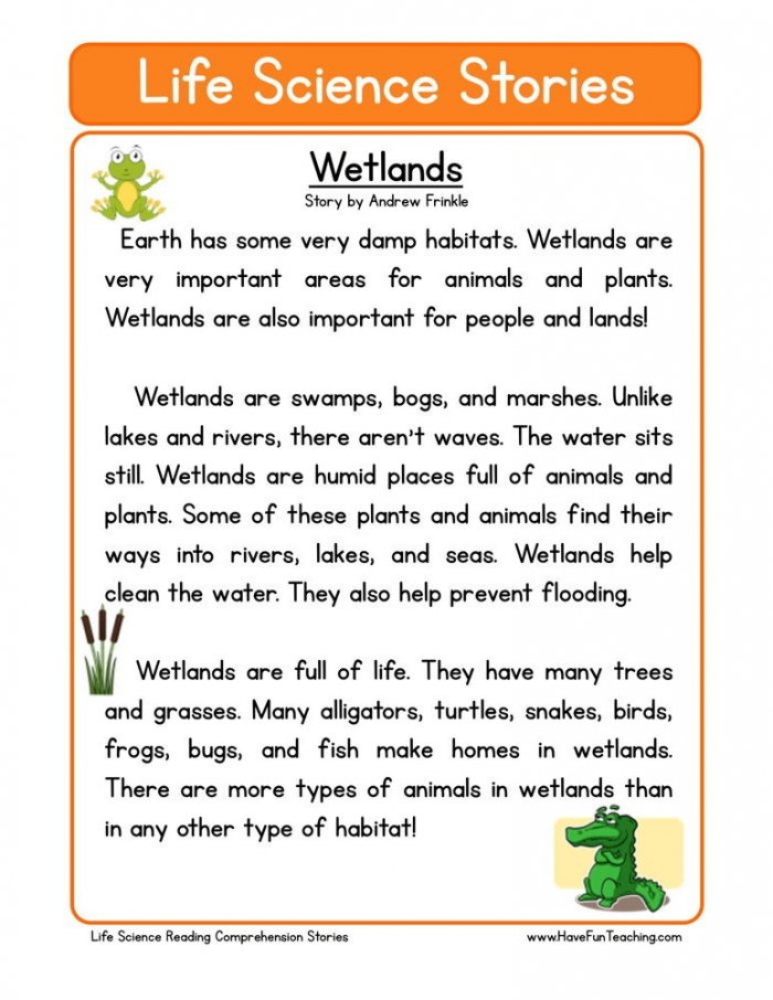 Reading Comprehension Worksheet
