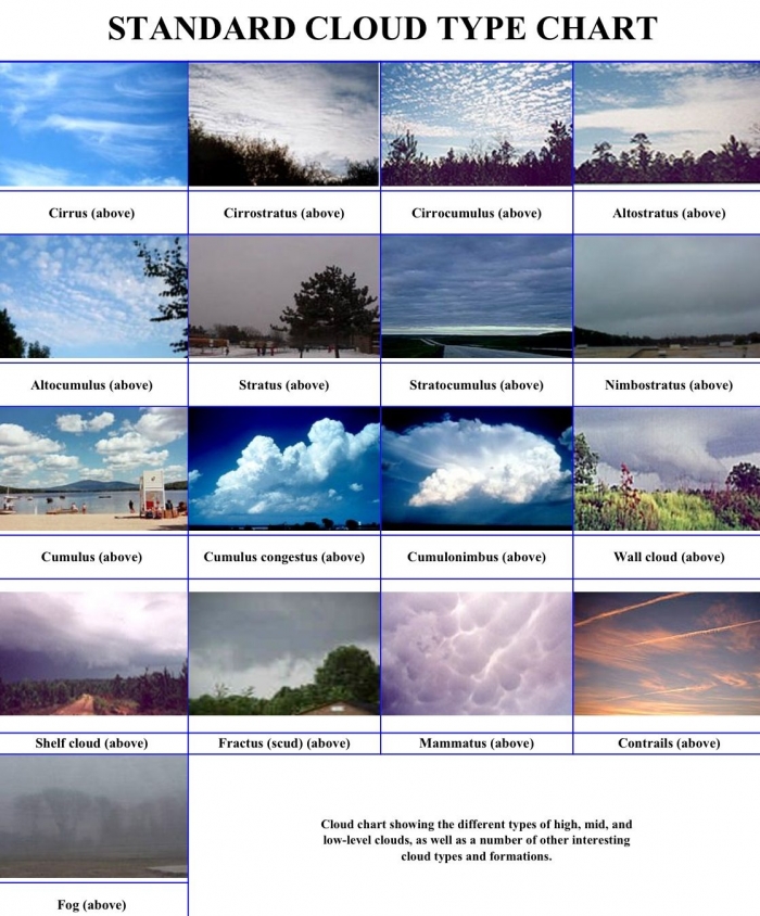 Worksheet Cloud Types Chart