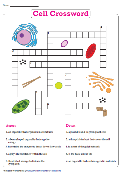 Cell Crossword