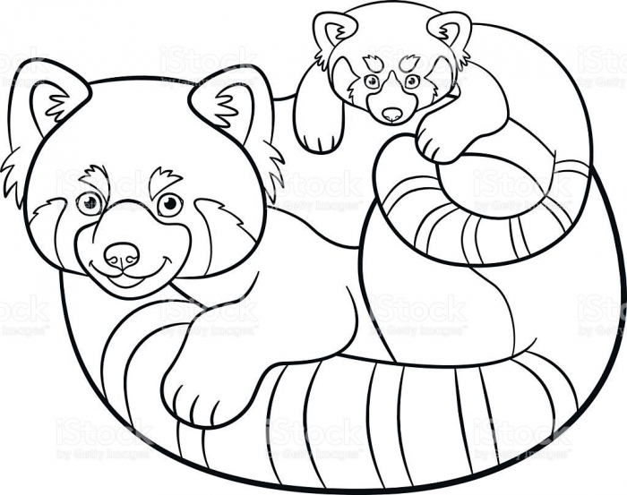 Coloring Pages Mother Red Panda With Her Cute Baby