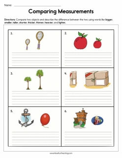 Measurement Comparison Assessment