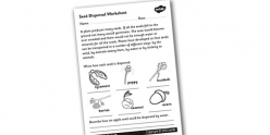 Seed Dispersal