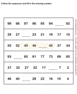 Number Sequences
