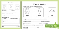 What Plants Need To Grow