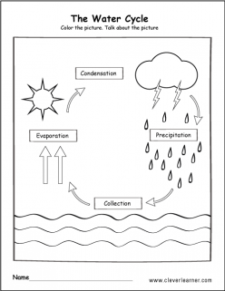 Water Cycle Chart