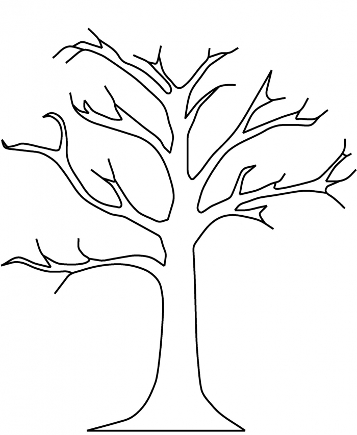 Tree Coloring The Sun Flower Kumon Saturday Classes Math