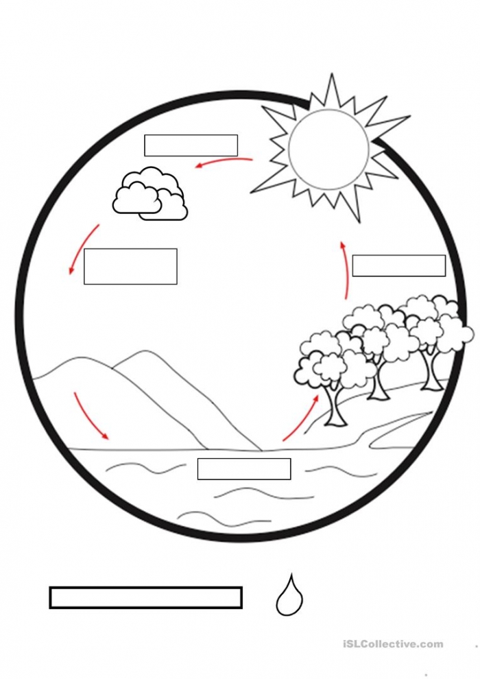 water cycle worksheet printable