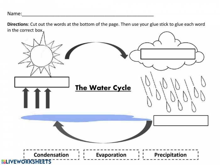 Water Cycle Online Activity