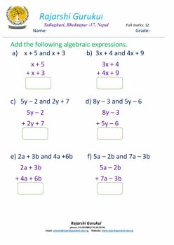 Algebraic Expressions