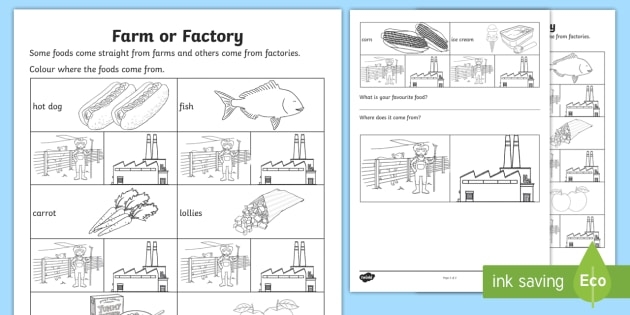 Farm Or Factory Food Worksheet Teacher Made