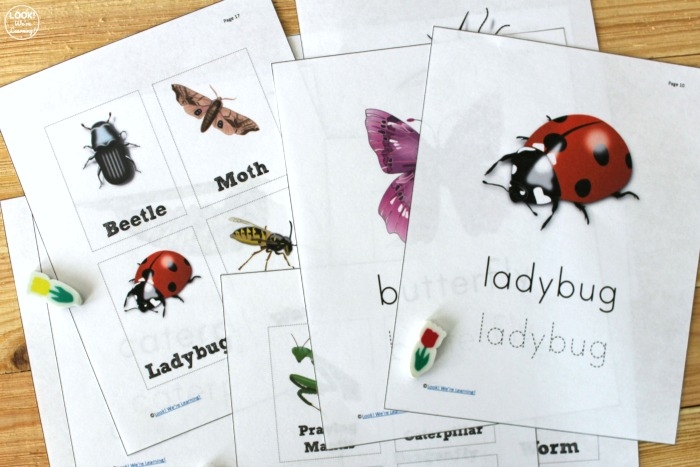 Free Bug Printables Pack For Kids