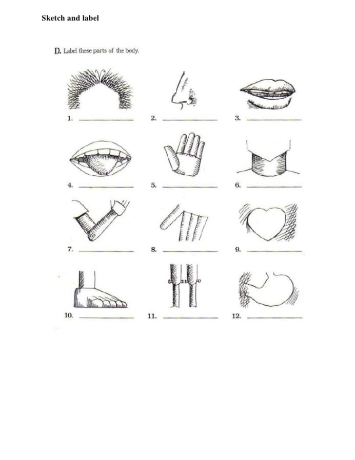 French Les Parties Du Corps Worksheets Activities Basic Math Exam
