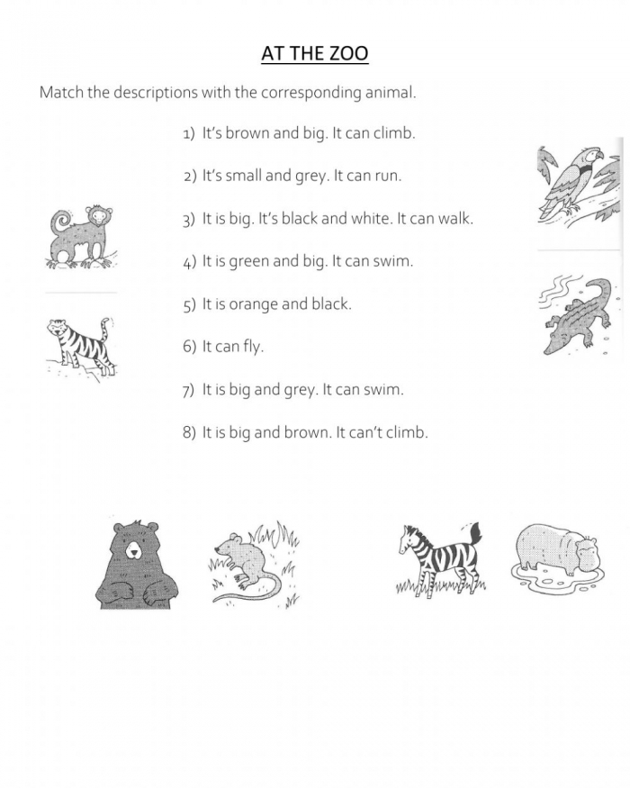 Guess The Animals Interactive Worksheet