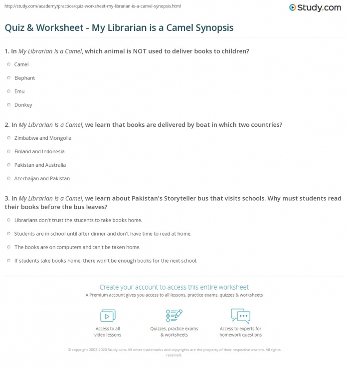 Quiz   Worksheet