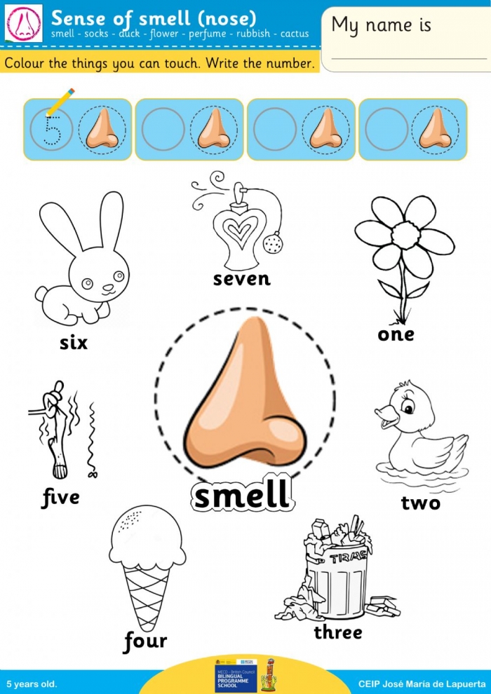 Sense Of Smell Worksheets | 99Worksheets