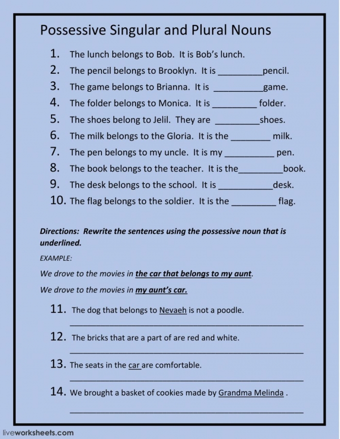 make-it-possessive-singular-and-plural-possessives-worksheets