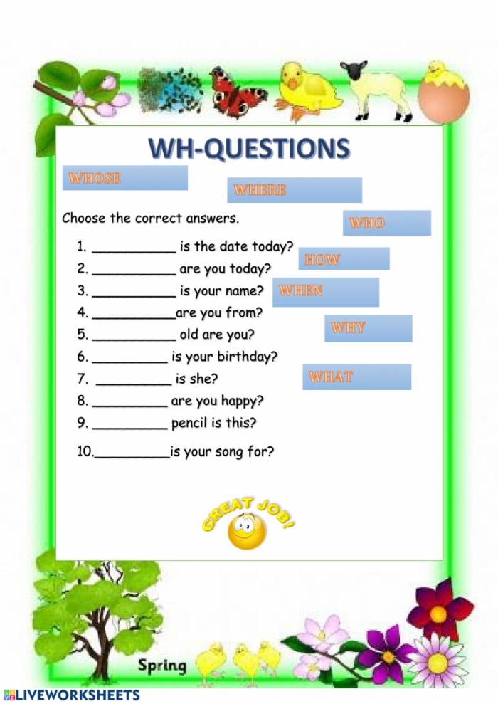 wh questions worksheets 99worksheets