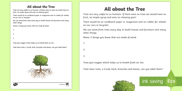 All About The Tree Read And Draw Worksheet  Worksheet