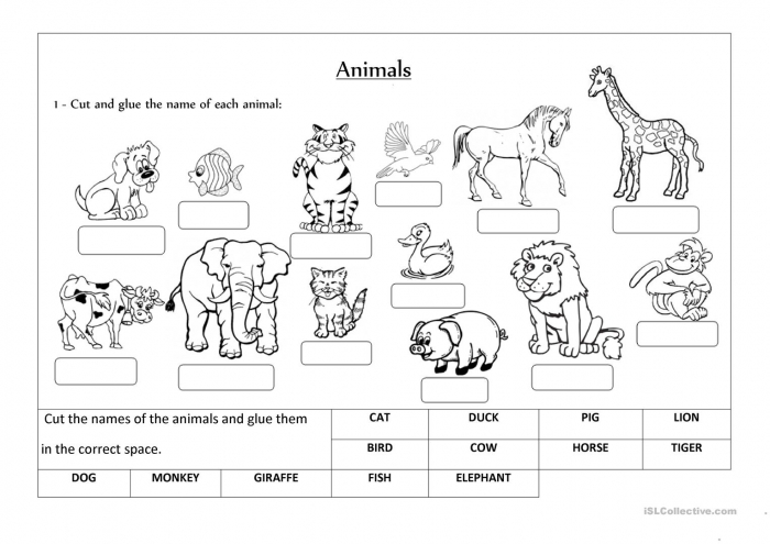 Classifying Animals Worksheets | 99Worksheets