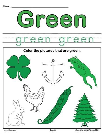 Color Green Worksheet