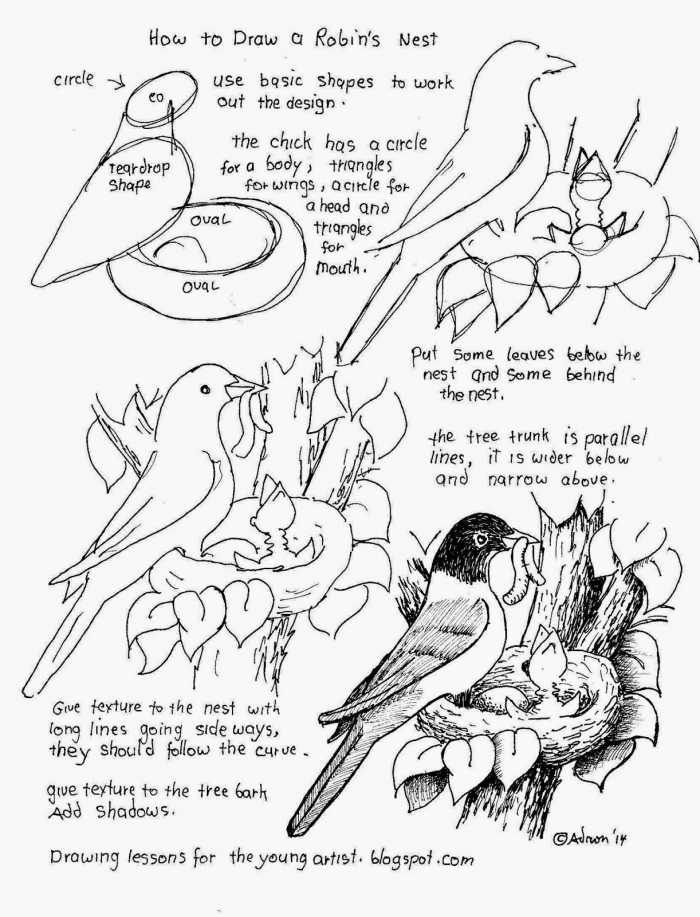 How To Draw Worksheets For The Young Artist How To Draw A Robins