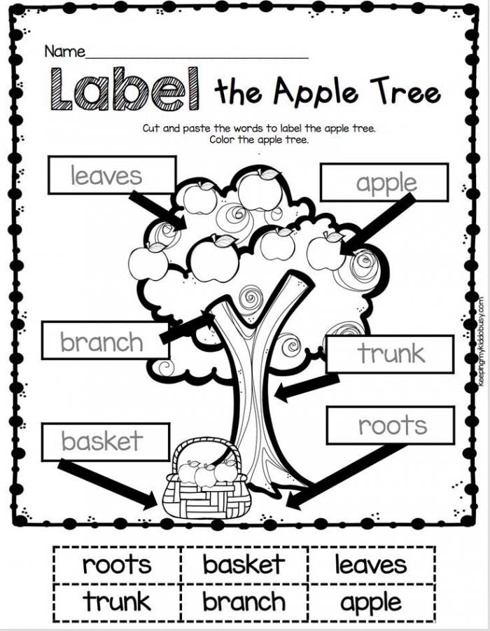 My Apple Tree Worksheets | 99Worksheets