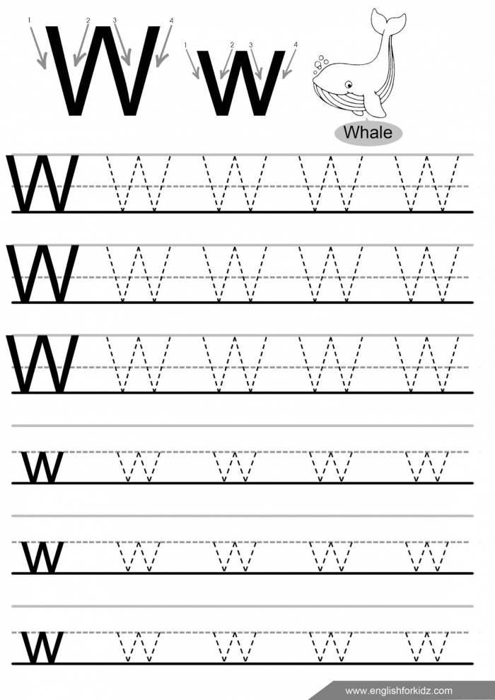 Letter W Tracing Worksheet  English Alphabet Worksheets