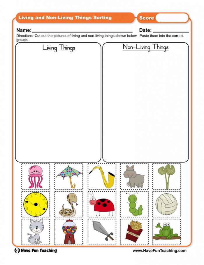 Living Things And Non Living Things Sorting Worksheet  Have Fun