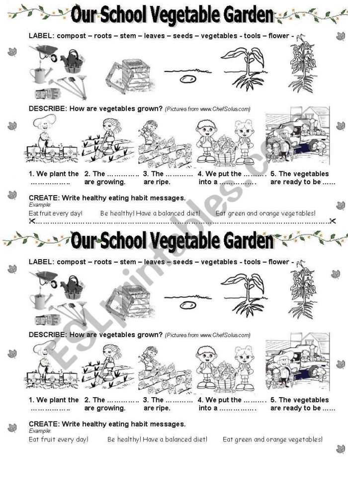 Our School Vegetable Garden