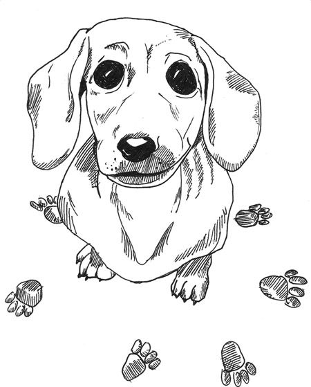 Pin By Marina P Leito On Ilustrao